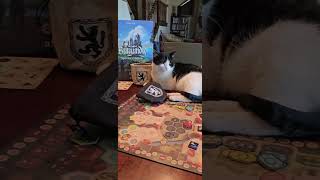 Castles of Burgundy Short Board Game Review  8 Plays In [upl. by Terle]