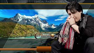 Chinito Del Ande  Linda Pastorita  Primicia 2018 [upl. by Nitsud]