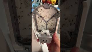 Get Rid of Gnats Fruit Flies amp Mosquitoes in Your House [upl. by Atilehs]