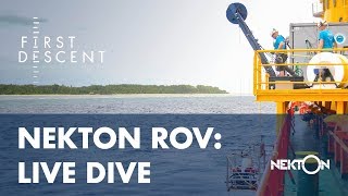 Nekton ROV Live [upl. by Eissak]