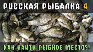 РУССКАЯ РЫБАЛКА 4 🐟 КАК НАЙТИ РЫБНОЕ МЕСТО ОТКРЫВАЮ СЕКРЕТ  ГАЙД ДЛЯ НОВИЧКОВ VI [upl. by Notirb]