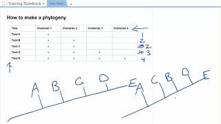 Practice with Phylogenies [upl. by Bertasi732]