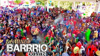 Domingo de Carnaval 2024 Barrio La Luz [upl. by Ahsyla842]