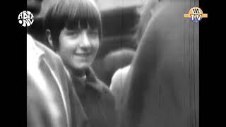 The Spencer Davis Group  Gimme Some Lovin 1966 [upl. by Anitnegra]