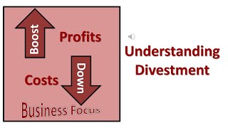 Understanding Divestment [upl. by Zinnes900]