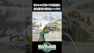 【ティアキン】モドレコで砲弾を浮かしてヒノックスを倒すリンク【ゼルダの伝説 ティアーズ オブ ザ キングダム】 [upl. by Anerahs]