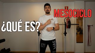 Qué es un MESOCICLO de ENTRENAMIENTO ❓ Conceptos BÁSICOS [upl. by Anirual99]