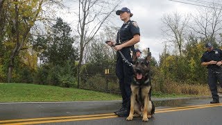 Police Dog Training your best friend [upl. by Azeel]