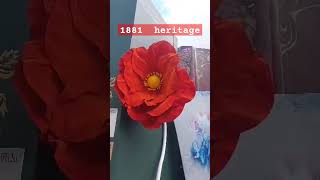 1881 heritage shortsvideo [upl. by Ahtan]