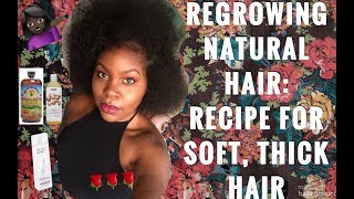 REGROWING NATURAL HAIR LEAVEIN RECIPE 4 SOFT THICK HAIR [upl. by Drareg811]