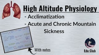 High Altitude Physiology  Acclimatization  Mountain sickness  Respiratory Physiology [upl. by Erodeht]