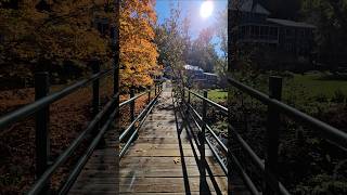 Beautiful Morning Autumn Walk in Vermont USA 🇺🇸 fall canada usa Vermont fallcolours walking [upl. by Inness]