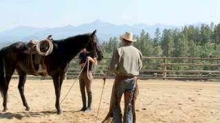 How to Use Spurs on Your Horse with Pat Parelli [upl. by Netnert]