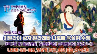 티베트 밀교 26강히말라야 성자 밀라레빠 나로빠 육성취 수행3맥7륜불괴명점 임독충맥과 금액환단의 선도仙道나로빠 6법뚬모정광명환신몽환중음의식전이 [upl. by Krystyna]