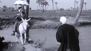 Al Haram 1965 فيلم الحرام [upl. by Nitsua]