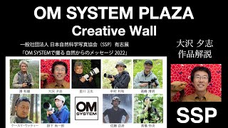 【大沢 夕志 作品解説】一般社団法人 日本自然科学写真協会（SSP）有志展：「OM SYSTEMで撮る 自然からのメッセージ 2022」 [upl. by Crowley878]