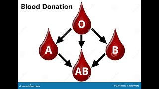 bloodgroup study ytvideo [upl. by Atsahc]