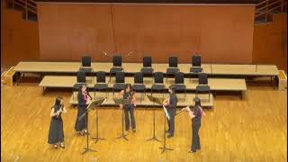 magic flute overture played by sao woodwind quintet flute oboe clarinet horn and bassoon [upl. by Franzen]