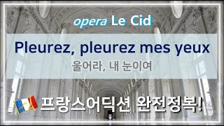 오페라 Le Cid  Pleurez Pleurez mes yeux  홍연출의 프랑스어 뜻풀이 amp 딕션 완전정복 노래로 배우는 프랑스어 [upl. by Stavros]