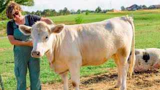 Making Everyday Special Gratitude on our Family Farm [upl. by Conant381]