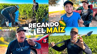 REGANDO EL MAÍZ🌽DE elmariomt7862 NOS AVENTAMOS UNA BUENA COMIDA🐟 [upl. by Aihtekal]