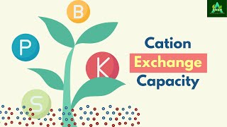 Cation Exchange Capacity agriculture soilscience [upl. by Ranip]