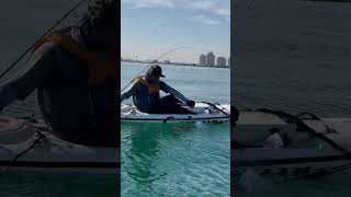 Diamond Diamond 💎 kayakfishing fishinguae uae shimanofishing yamaga duo fishing [upl. by Akeyla]