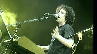 Andrés Calamaro  Sin documentos Made in Argentina Directo 2005 [upl. by Dnalel]