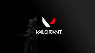 VALORANT NIGHT [upl. by Eeleak]