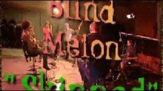 Blind Melon  Skinned Live 1995 [upl. by Chryste]