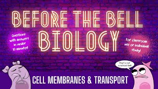 Cell Membranes and Transport Before the Bell Biology [upl. by Ethbin]