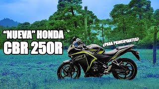 Honda CBR 250R 2019  Deportiva BUENA para principiantes  JohnRides Review Opinión [upl. by Nohsad]