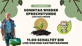 Live aus Lingen von der Messe Gartenträume [upl. by Oilime949]