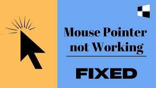 Mouse Pointer Not Working in Windows 1011 2024 Easy FIX [upl. by Flavio411]