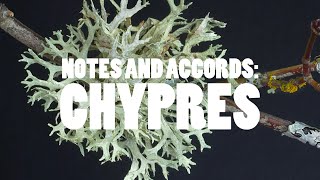 NOTES AND ACCORDS CHYPRES [upl. by Collette]