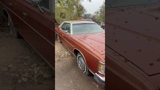 Survivor Barn Find 1973 Ford LTD barnfind ford survivor classiccars [upl. by Eirellav]