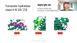 31 20202149 조순빈 Fumarate Hydratase Class II 단백질의 구조와 기능 [upl. by Shelbi]