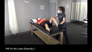 PNF Proprioceptive Neuromuscular Facilitation for the Lower Extremity [upl. by Aicemaj]