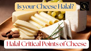 Halal Critical Points of Cheese [upl. by Mira]