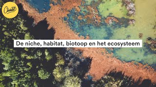 De niche habitat biotoop en het ecosysteem  Mr Chadd Academy [upl. by Eecyac]