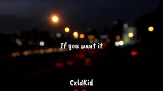 CxldKid  If you want it Official Lyric Video [upl. by Antonietta451]