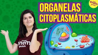 ORGANELAS CITOPLASMÁTICAS CITOLOGIA  Resumo de Biologia para o Enem [upl. by Leckie]