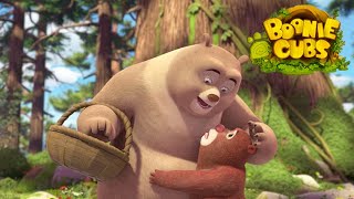 Boonie Cubs 【EP25】  The Family Visit Cartoon [upl. by Hamimej]