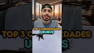 URUBUS  TOP 3 CURIOSIDADES [upl. by Ennaitsirhc565]