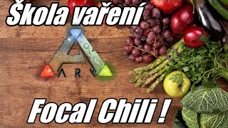 ARK  Škola vaření  Focal Chili CZSK [upl. by Kenneth]