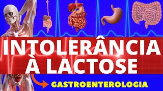 INTOLERÂNCIA A LACTOSE CAUSAS SINTOMAS E DIAGNÓSTICO  SINTOMAS DA INTOLERÂNCIA A LACTOSE [upl. by Assiluy]