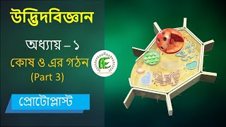 3 Protoplast and protoplasm Bangla। কোষ ও এর গঠন। HSC amp Admission [upl. by Sandell]