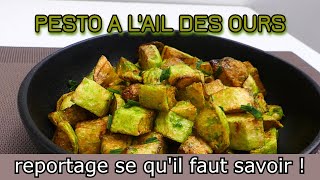 Recette du pesto dail des ours  reportage [upl. by Daughtry]