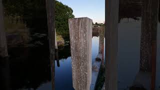 Old Glasgow Remnants Part 5 Kelvin Dock Forth and Clyde Canal Maryhill Glasgow🏴󠁧󠁢󠁳󠁣󠁴󠁿 history [upl. by Venable]