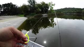 Lafayette Reservoir Fishing 32015 [upl. by Forsyth]